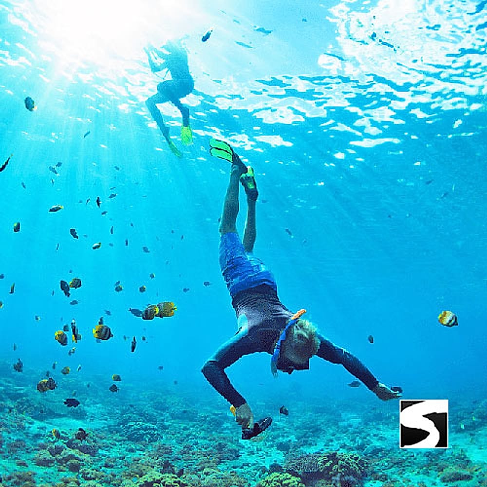 Snorkelujący nad rafą wśród ryb